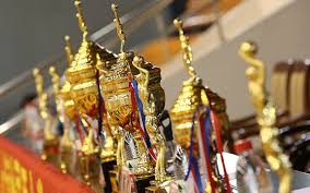 解析明尼苏达双城队在寒冷气候下对本土球员的吸引力与文化粘性